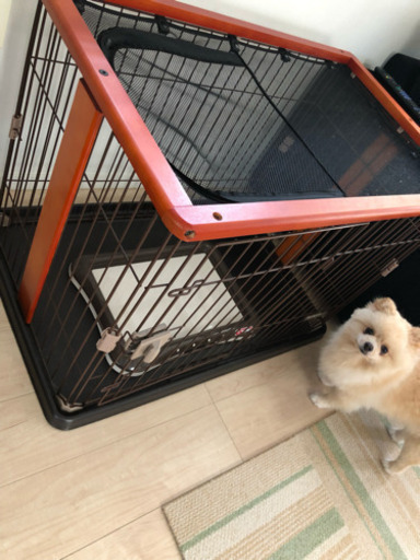 犬用ゲージ  トイレトレーセット