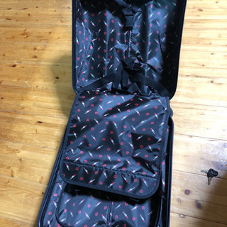 ピーチお荷物規定内 キャリーバッグ