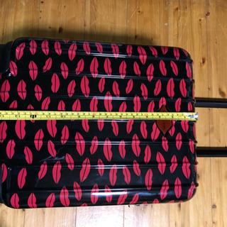 ピーチお荷物規定内 キャリーバッグ