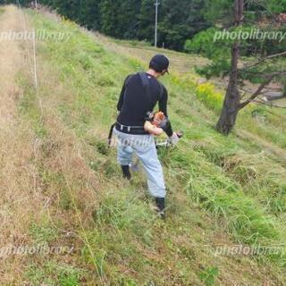 【草刈り、伐採🌳お任せ下さい‼️】 - 成田市