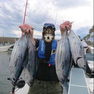 【現在23名】釣りたて鮮魚食べ放題！江戸前鮨と日本酒の宴