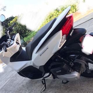 H27 ホンダPCX125 パールホワイト JF56