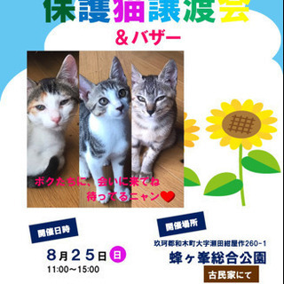 第２回保護猫の譲渡会In山口県