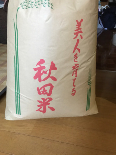 30年度