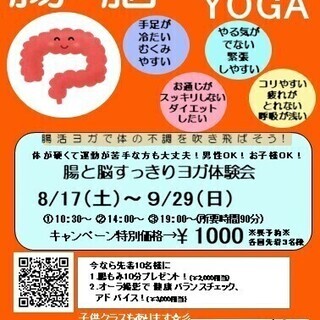 脳と腸スッキリYOGＡ