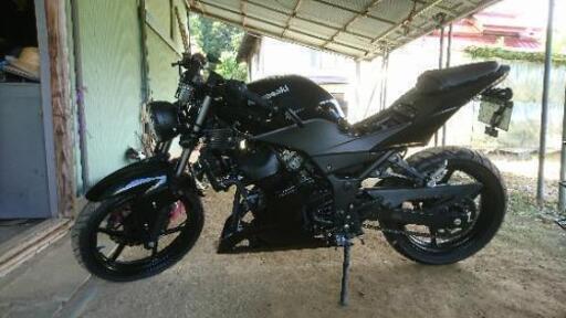 ニンジャ250r