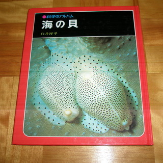 【ネット決済・配送可】科学のアルバム 「海の貝 」