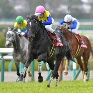 31日の土曜日一緒に競馬しませんか？