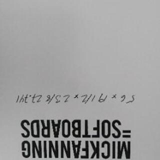 ソフトボード  ミックファニング 5\'6 