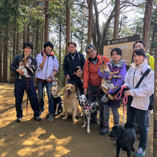 犬の保育園がリニューアルオープン スタッフ募集 りょうま 品川のその他の無料求人広告 アルバイト バイト募集情報 ジモティー 犬の保育園がリニューアルオープン スタッフ募集 りょうま 品川のその他の無料求人広告 アルバイト バイト募集情報 ジモティー