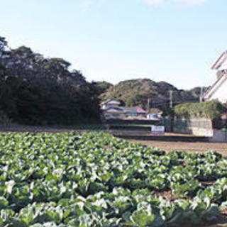 銚子市西小川町 売地