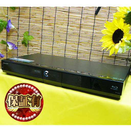 ★保証付き★音声ガイド付き★特価品★