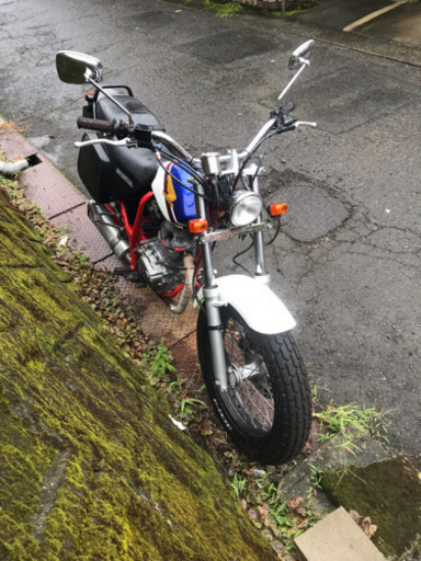 FTR223 トリコロール ライトカスタム 即乗り可
