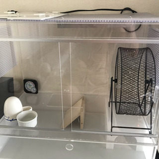 ハリネズミ アクリル ケージ 持ち運び ハリネズミ アクリル ケージ 持ち運び