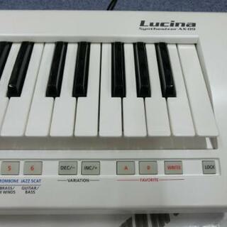 ショルダーキーボード AX-09 LUCINA Roland ローランド ルシーナ