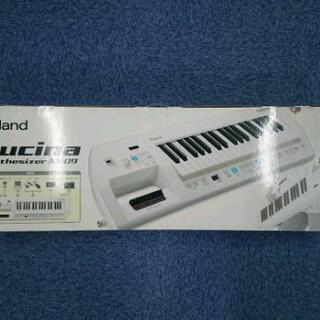 ショルダーキーボード AX-09 LUCINA Roland ローランド ルシーナ