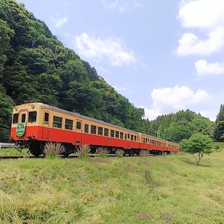 ８／３１（土）小湊鉄道沿線の草刈り作業に係るボランティア募集！