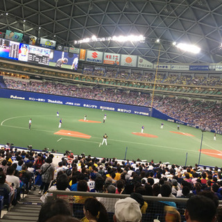 女子で野球観戦行ってくれる人募集！！