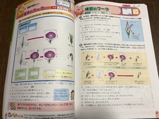 教科書ワーク 小5 理科 書き込みなし うさももっち 太秦天神川の参考書の中古あげます 譲ります ジモティーで不用品の処分 教科書ワーク 小5 理科 書き込みなし うさももっち 太秦天神川の参考書の中古あげます 譲ります ジモティーで不用品の処分