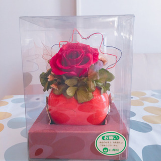 鹿児島県 南鹿児島駅の中古ドラが無料 格安で買える ジモティー