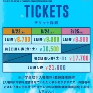 ワイルドバンチ 8/23 1日券、