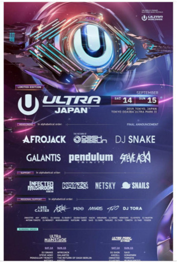 【さらに値引有‼︎】★ULTRA Japan 2日間通し券ペアで‼︎ 早い者勝ち！ウルトラジャパン ！フェス‼︎