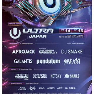 【さらに値引有‼︎】★ULTRA Japan 2日間通し券ペアで...