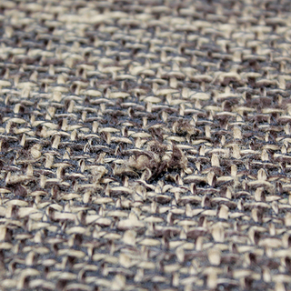 札幌 引き取り 宮田産業 SabiSabi CAPA キャパ 2人掛けソファ ピリカブラウン 旭川家具 サビサビ 無垢材