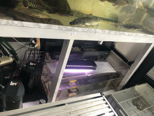 1800水槽 1200水槽 水槽台 上部フィルター