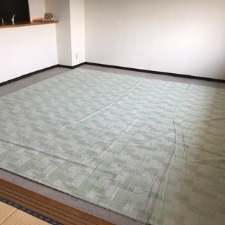 大きめなカーペット（カラー：グリーン サイズ：3520✖️3520）