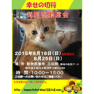 土岐市 保護猫譲渡会