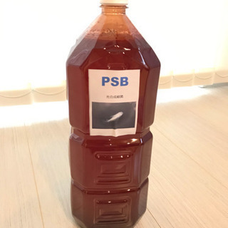 PSB 光合成細菌