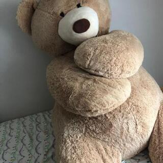 入手困難!?コストコ 大きなクマのぬいぐるみ 236cm