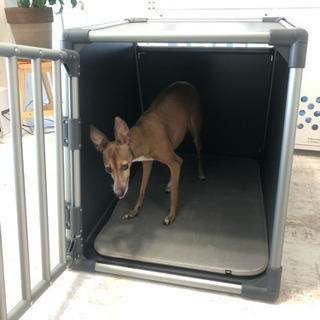 TRIXIE 車載用 犬用ケージ