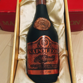 古酒 ブランデー ナポレオン NEPOLEON