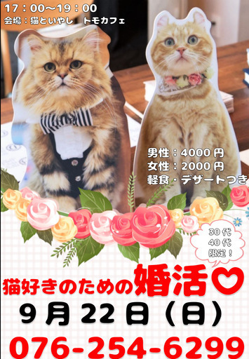 にゃん活～猫好きのための猫カフェ婚活！～ (猫といやしトモカフェ 
