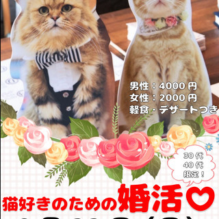にゃん活～猫好きのための猫カフェ婚活！～ 