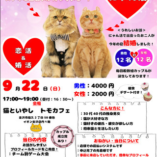 にゃん活 猫好きのための猫カフェ婚活 猫といやしトモカフェ 金沢のパーティーのイベント参加者募集 無料掲載の掲示板 ジモティー