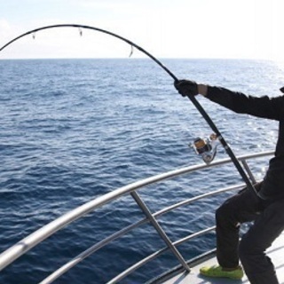 静岡県海釣り釣行＆情報交換ラインメンバー募集の画像