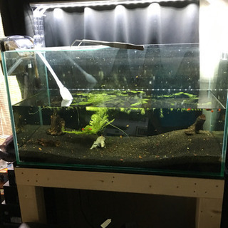 90水槽セット 今週中に引き取り可能な方値下げ