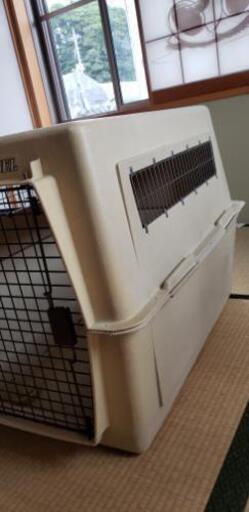 犬カゴ 大