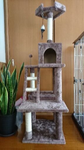 キャットタワー