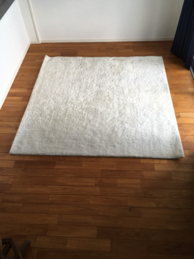 【Design Carpet】カーペット アイボリー 185×185
