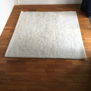 【Design Carpet】カーペット アイボリー 185×185