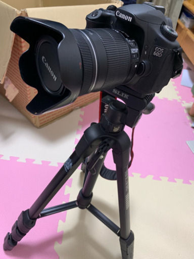 canon EOS60D セット