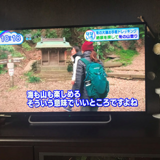 ソニー 液晶 テレビ ブラビア Sony BRAVIA 48V