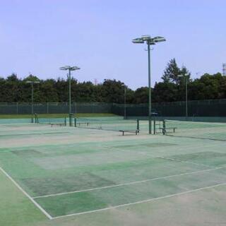 【急募】明日29日の昼間にテニスできる方！