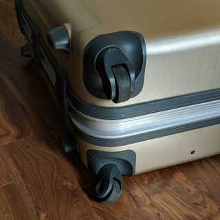 ProtecA】エキノックス TL 119L 長期旅行向け スーツケース