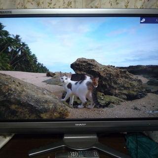 ◇40型シャープTVフルハイビジョンで綺麗LC-40AE7 □1週間の動作補償し
