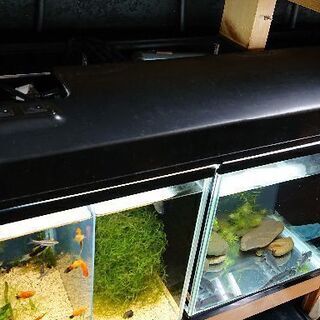 蛍光灯二灯式照明器具 60cm水槽用熱帯魚照明 ライト ジモティーアクア 宮之阪の照明器具の中古あげます 譲ります ジモティーで不用品の処分
